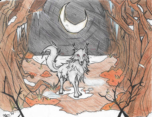 Strange Wolf In The Woods